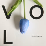 Artificial Mini Tulip, Pack of 5