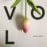 Artificial Mini Tulip, Pack of 5