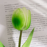 Artificial Medium Tulip, Pack of 5