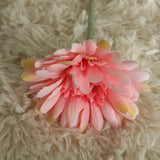 Artificial Barberton Daisy, Pack of 10