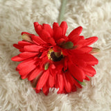 Artificial Barberton Daisy, Pack of 10