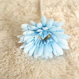 Artificial Barberton Daisy, Pack of 10