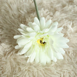 Artificial Barberton Daisy, Pack of 10