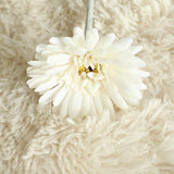 Artificial Barberton Daisy, Pack of 10