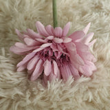 Artificial Barberton Daisy, Pack of 10