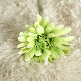 Artificial Barberton Daisy, Pack of 10