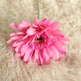 Artificial Barberton Daisy, Pack of 10