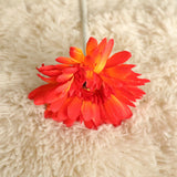 Artificial Barberton Daisy, Pack of 10