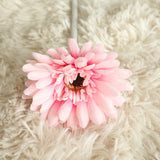 Artificial Barberton Daisy, Pack of 10