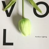 Artificial Mini Tulip, Pack of 5