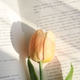 Artificial Medium Tulip, Pack of 5