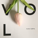 Artificial Mini Tulip, Pack of 5