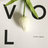 Artificial Mini Tulip, Pack of 5