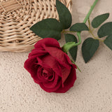 Artificial Flannelette Acacia Rose, Pack of 5