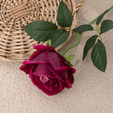 Artificial Flannelette Acacia Rose, Pack of 5