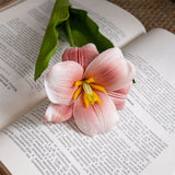 Artificial Bloomed Tulip, Pack of 6