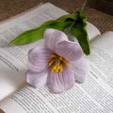 Artificial Bloomed Tulip, Pack of 6