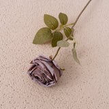 Artificial Dry Burnt Roses, Pack of 6