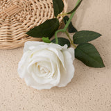 Artificial Flannelette Acacia Rose, Pack of 5