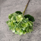 Artificial Dried Hydrangea, Pack of 5