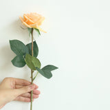 Artificial Scented Moisturizing Rose, Pack of 6