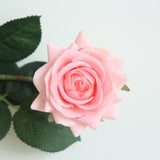 Artificial Scented Moisturizing Rose, Pack of 6