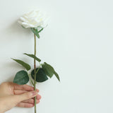 Artificial Scented Moisturizing Rose, Pack of 6