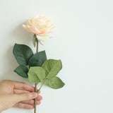 Artificial Scented Moisturizing Rose, Pack of 6