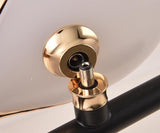 Acrylic Hummingbird Duo Desk Lamp