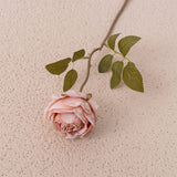 Artificial Dry Burnt Roses, Pack of 6