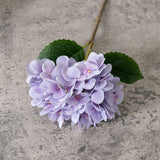 Artificial Dried Hydrangea, Pack of 5