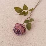 Artificial Dry Burnt Roses, Pack of 6