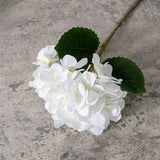 Artificial Dried Hydrangea, Pack of 5