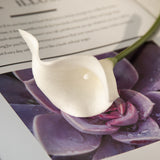 Artificial Calla Mini Pu, Pack of 6