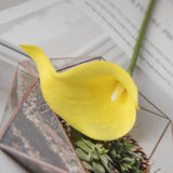 Artificial Calla Mini Pu, Pack of 6