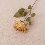 Artificial Dry Burnt Roses, Pack of 6
