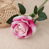 Artificial Flannelette Acacia Rose, Pack of 5