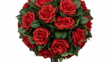 Red Lush Rose Tree