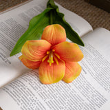Artificial Bloomed Tulip, Pack of 6