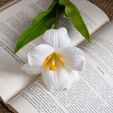 Artificial Bloomed Tulip, Pack of 6