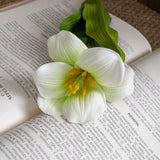 Artificial Bloomed Tulip, Pack of 6