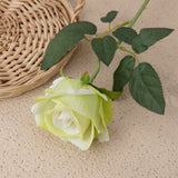 Artificial Flannelette Acacia Rose, Pack of 5