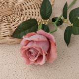 Artificial Flannelette Acacia Rose, Pack of 5