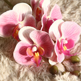 Artificial 5 Head Phalaenopsis
