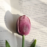 Artificial Medium Tulip, Pack of 5