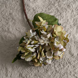 Artificial Dry Roasted Hydrangea