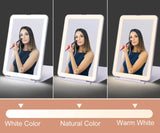 Cosmetic LED Mirror