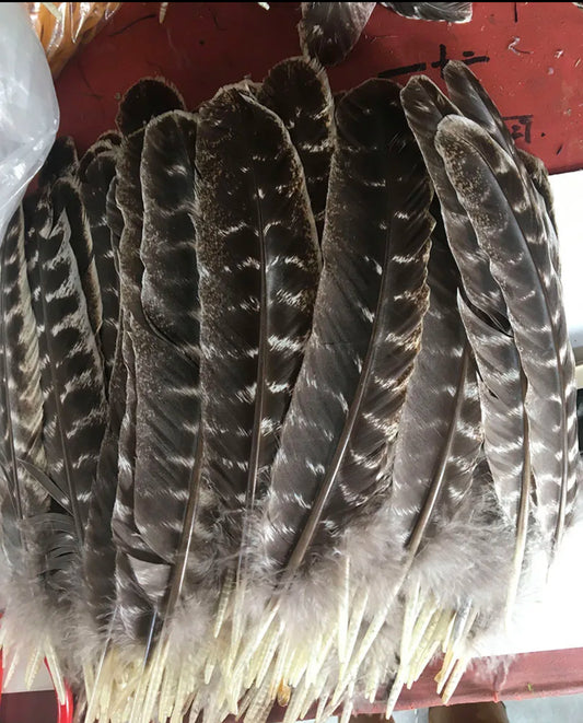 Turkey White Slice Feather