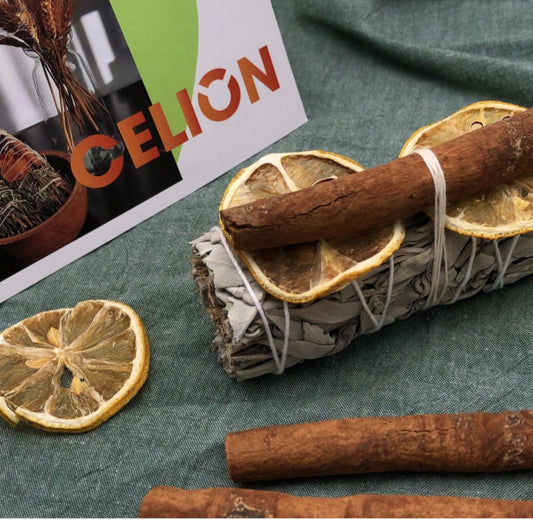 Orange Cinnamon Sage