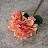 Artificial Dried Hydrangea, Pack of 5